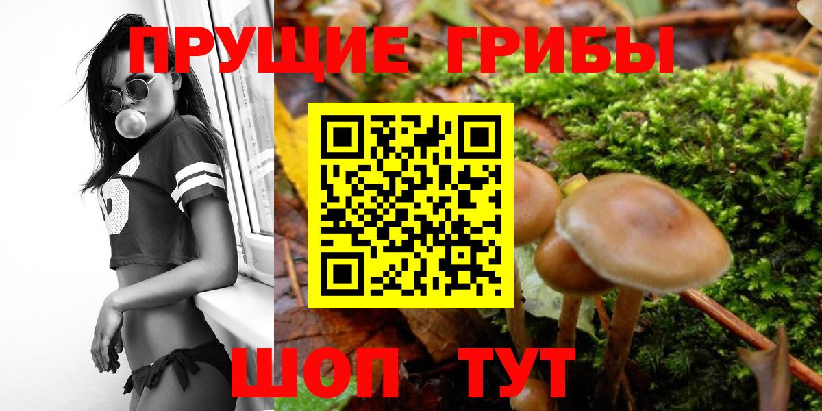 Псилоцибиновые грибы ЛСД  Вход с VPN  Феодосия  Псилоцибиновые грибы Psilocybine cubensis 