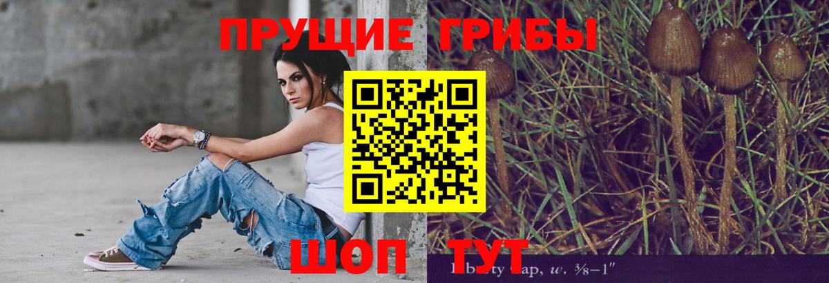 Галлюциногенные грибы Cubensis Феодосия